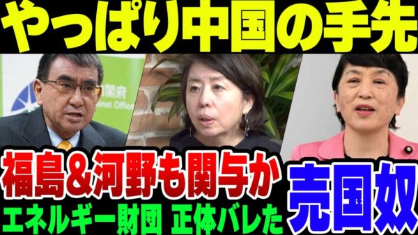 内閣府再エネすかしの人、経歴がアレ過ぎたうえに所属している日本エネルギー財団が完全に中国の手先であることが判明する【ゆっくり解説】