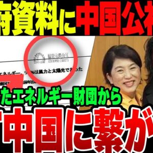 内閣府の再エネ資料に中国公社の透かし？！資料提供者にスパイ疑惑がかかる事態に【ゆっくり解説】