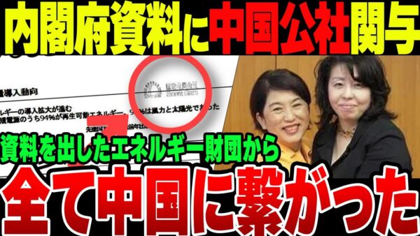 内閣府の再エネ資料に中国公社の透かし？！資料提供者にスパイ疑惑がかかる事態に【ゆっくり解説】