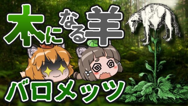 【動物植物】木から生える羊！？バロメッツ【へんないきもの#111】