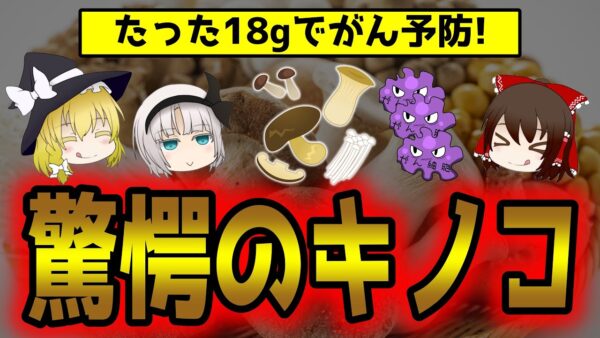 1日18gでがんのリスクが45％低くなる『きのこ』とは？栄養ランキング【ゆっくり解説】