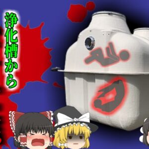 【1974年】汚水の中から見つかった二人の児童 障碍者施設で一体何があった？警察検察の圧迫と公権力と冤罪…多くの人の人生を狂わせた『甲山事件』【ゆっくり解説】