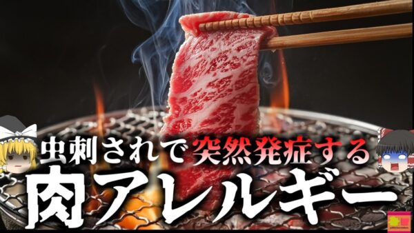 【2014年】焼肉が大好きだった男性 「とある虫」に噛まれたことで肉が食べられない体に!? 誰もが罹る可能性『肉アレルギー』【ゆっくり解説】