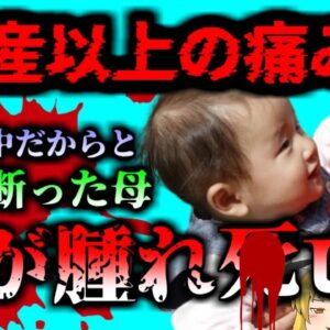 【2017年】『出産以上の痛み』育児中の母親「授乳中だから」と投薬治療を拒否 抗生剤を断り髄膜炎で〇亡【ゆっくり解説】