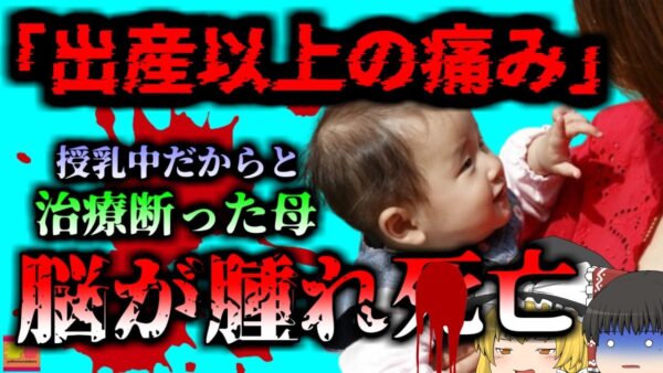 【2017年】『出産以上の痛み』育児中の母親「授乳中だから」と投薬治療を拒否 抗生剤を断り髄膜炎で〇亡【ゆっくり解説】