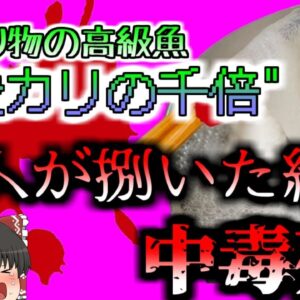 【2023年】『青酸カリの千倍』友人から貰った高級魚捌いて食べた男性 身体が麻痺して〇亡 たった0 5mgで命を落とす猛毒　【ゆっくり解説】