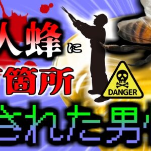 【2023年】農場で2万か所ハチに刺され 体内からも大量のハチが発見された男性 昏睡で命の危機に【ゆっくり解説】
