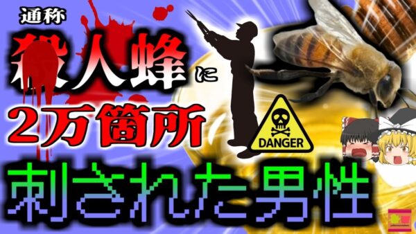 【2023年】農場で2万か所ハチに刺され 体内からも大量のハチが発見された男性 昏睡で命の危機に【ゆっくり解説】