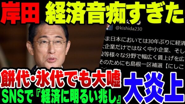 岸田首相「いま日本においては30年ぶりに経済の明るい兆しが出てきました！」→炎上　氷代・もち代なくす宣言も逆位に値上げされたのがバレて地獄【ゆっくり解説】