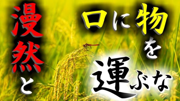 【ゆっくり解説】#43 ぶっちゃけ農薬ってどのくらいヤバいの？【ネオニコチノイド】