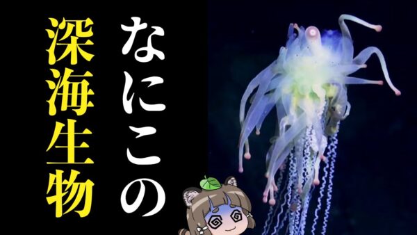 【奇妙】近年発見されたばかりのヤバい深海生物8選