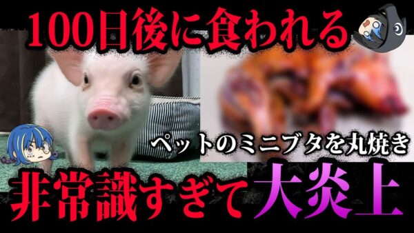 【ゆっくり解説】胸糞注意…非常識すぎて炎上したYouTuberの末路５選