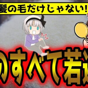 ただのタンパク質ではなかった！髪のフサフサお肌ツルツル筋肉モリモリ骨も強くなるコスパ最強のコラーゲンとは【ゆっくり解説】