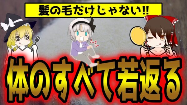 ただのタンパク質ではなかった！髪のフサフサお肌ツルツル筋肉モリモリ骨も強くなるコスパ最強のコラーゲンとは【ゆっくり解説】