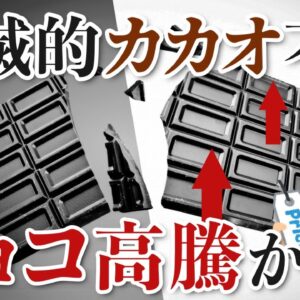 【異常】チョコレートの価格高騰！？壊滅的なカカオの不作でヤバいことに…