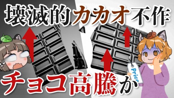 【異常】チョコレートの価格高騰！？壊滅的なカカオの不作でヤバいことに…