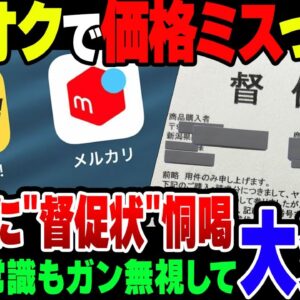 ヤフオクで価格ミスったバカ、購入者に督促状を送って訴訟恫喝をして炎上【ゆっくり解説】