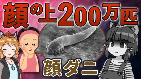 【ゾワゾワ】あなたの顔にも…顔ダニが毛穴に潜む本当の理由【へんないきもの#112】