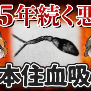 【地方病】日本を115年苦しめた謎の奇病「日本住血吸虫」の正体