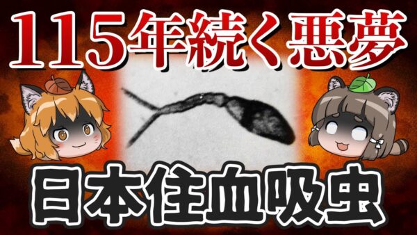【地方病】日本を115年苦しめた謎の奇病「日本住血吸虫」の正体