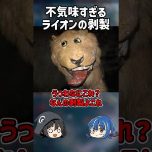 【１分解説】不気味すぎるライオンの剥製を1分解説【ゆっくり解説】#shorts #ゆっくりしていない解説