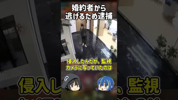 【１分解説】結婚したくなくて逮捕さればビビリ男を1分解説【ゆっくり解説】#shorts