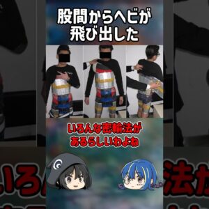 【１分解説】○○に密輸品を隠した男を1分解説【ゆっくり解説】#shorts