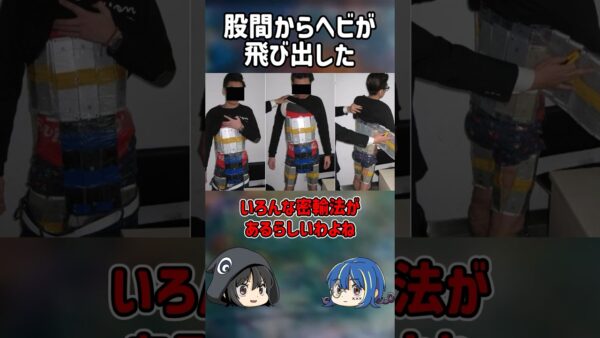 【１分解説】○○に密輸品を隠した男を1分解説【ゆっくり解説】#shorts