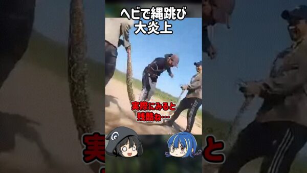 【１分解説】大炎上したヘビ縄跳び男を1分解説【ゆっくり解説】#shorts