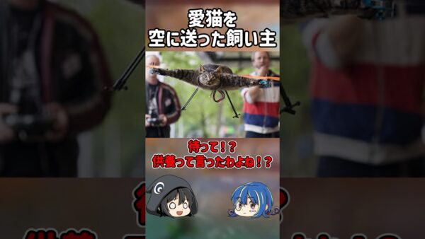 【１分解説】猫を飛行生物に改造した飼い主を1分解説【ゆっくり解説】#shorts