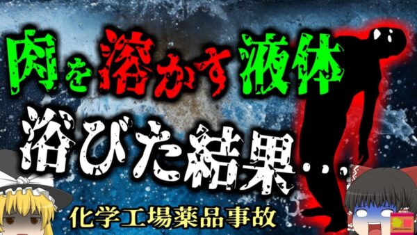 【2006年】肉を溶かす劇物を顔面に浴びた男性たちは…「またパイプが詰まったから、診ておいてくれ」→パイプから飛び出した化学薬品を浴び溶けた作業員たち『農薬工場薬品噴出事故』　【ゆっくり解説】