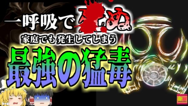 【2010年】家庭でも発生する『最も危険な猛毒』 トイレ清掃中に気が付かず毒を吸っていた男性たち 「色も匂いもない一酸化炭素」【ゆっくり解説】
