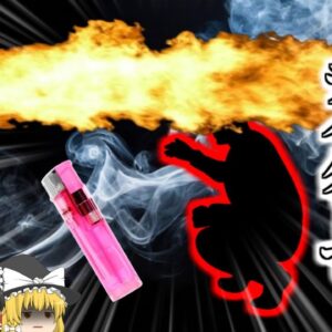 【2010年】「暗くてよく見えないな…（ｼｭﾎﾞｯ」→ガス発生装置の上でライターを付けた男性 爆発し吹き飛ばされる『ビール工場熱傷事故』【ゆっくり解説】