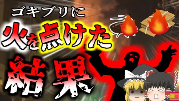 【2015年】火のついたゴキブリで6人が〇傷!? 害虫駆除でメイド喫茶が全焼 大火事へ発展 　絶対にしてはいけなかった駆除方法『広島市メイド喫茶全焼事故』【ゆっくり解説】