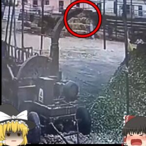 【2020年】農業用大型粉砕機飲み込まれ体が粉々になった作業員…トウモロコシ農場の恐ろしくいい加減な管理『工業用シュレッダー巻き込まれ事故』【ゆっくり解説】