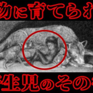 【都市伝説】ダチョウやオオカミに育てられた驚愕の野生児5選