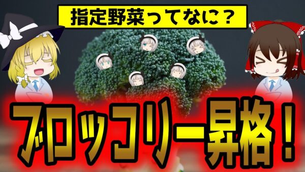 ブロッコリーが指定野菜に！じゃがいも以来52年ぶり！10年で需要が3割アップ【ゆっくり解説】