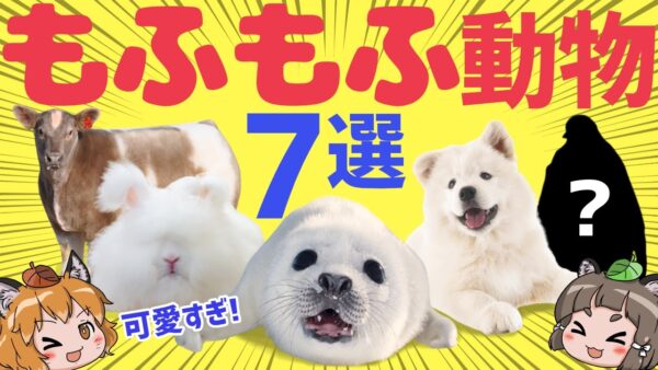 【天国】見るだけで癒やされる…もふもふ過ぎる生き物7選