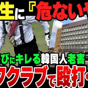 ボール遊びをしていた小学生に『アブねぇだろ』と喚いた78歳韓国人老害、ゴルフクラブで殴打して逮捕【ゆっくり解説】