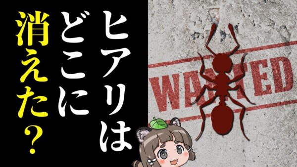 【あの生き物は今】ヒアリはどこに消えたのか？