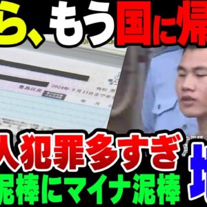 メロン泥棒にマイナカード偽造。外国人犯罪者が多すぎる！【ゆっくり解説】