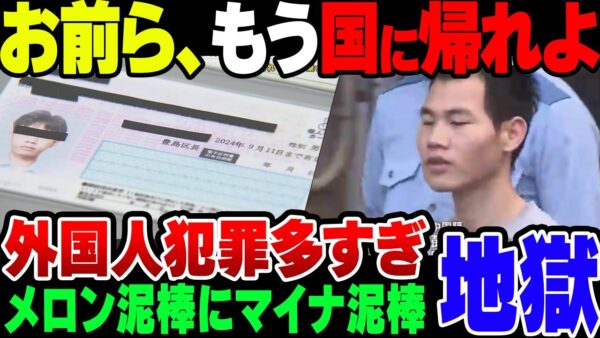 メロン泥棒にマイナカード偽造。外国人犯罪者が多すぎる！【ゆっくり解説】