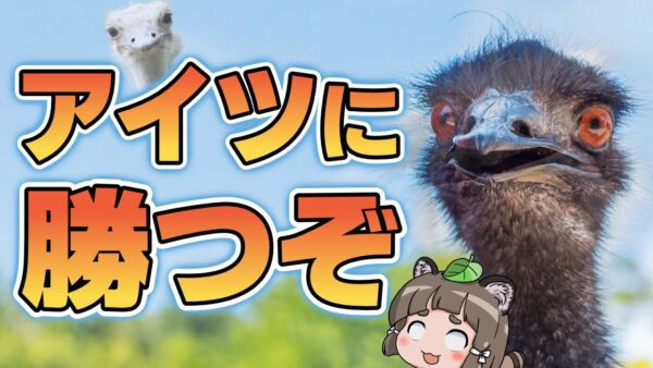 【悲報】エミューさん、ダチョウにすべてを奪われてしまう