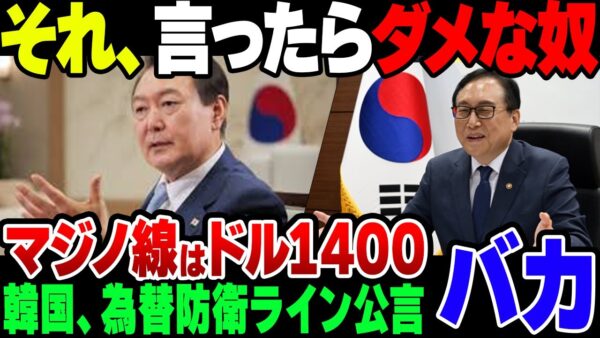 【ゆっくり解説】観光政府高官、明らかに口にしてはいけない為替防衛ラインを公言してしまう
