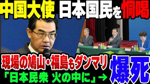 【ゆっくり解説】中国大使「日本の民衆を火の海に」→炎上　その場にいた鳩山由紀夫と福島瑞穂も炎上