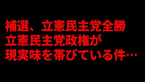立憲民主党が補選で全勝してしまった件について…＆補選の分析