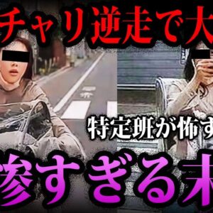 【ゆっくり解説】逆走ママチャリの末路
