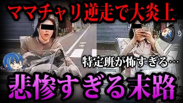 【ゆっくり解説】逆走ママチャリの末路