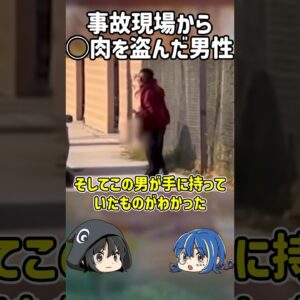 【１分解説】事故現場からとんでもないものを盗んだ男を1分解説【ゆっくり解説】#shorts #ゆっくりしていない解説