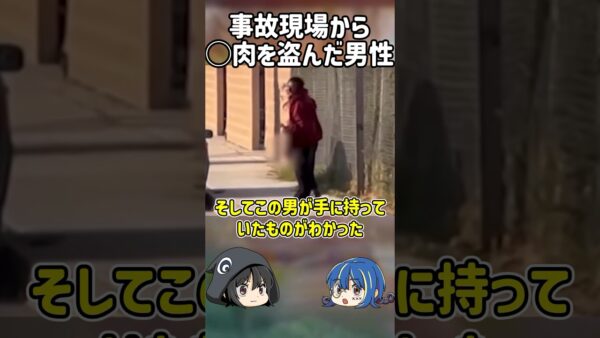 【１分解説】事故現場からとんでもないものを盗んだ男を1分解説【ゆっくり解説】#shorts #ゆっくりしていない解説